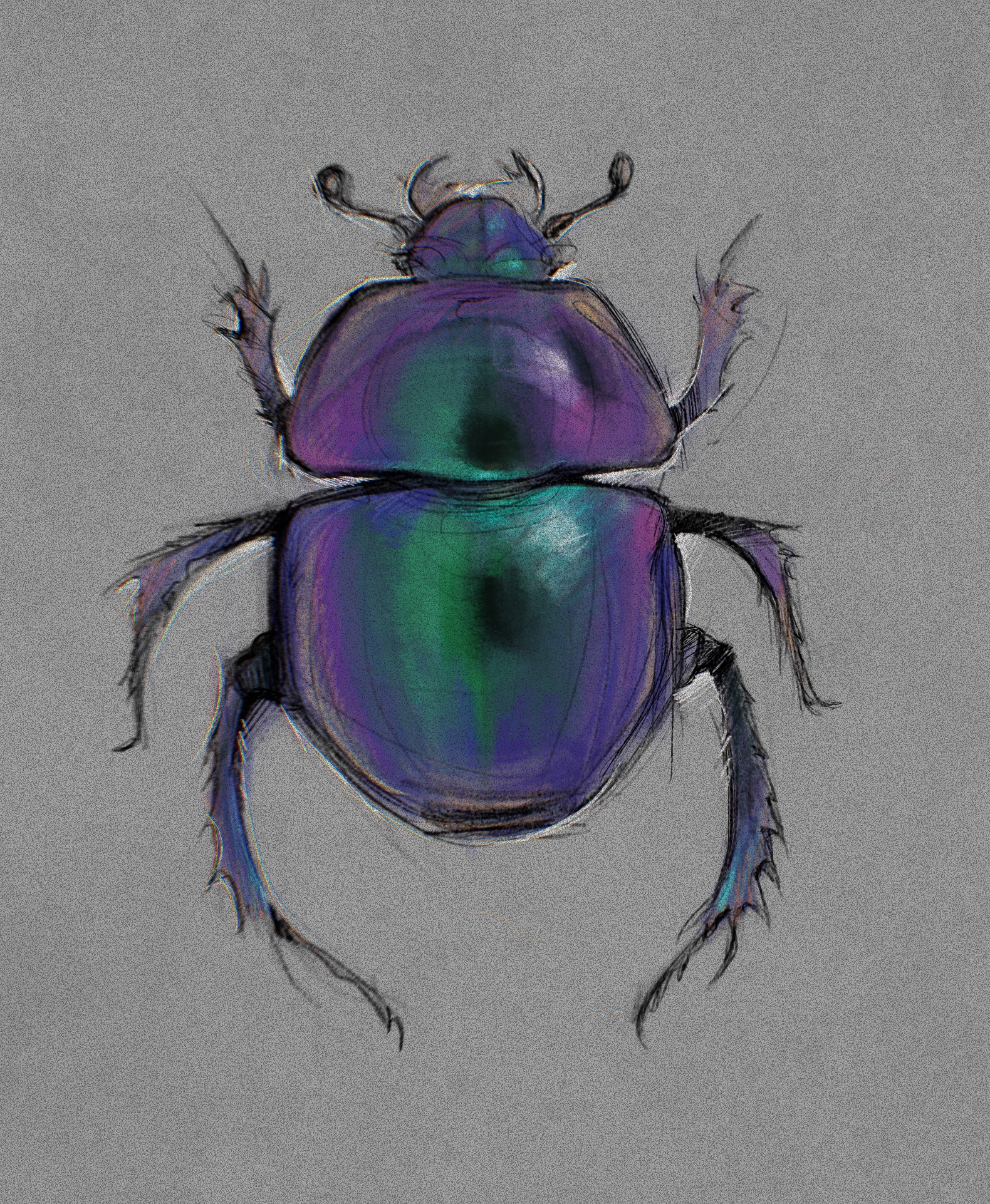 Study Insect 02